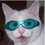 Звездная_мышка