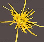 ОпятьЧегоТоНеХватает