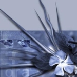 Серебряная